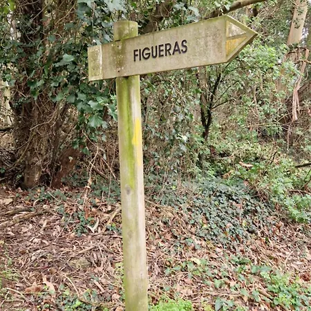 Figueras * Figueras (Asturias)